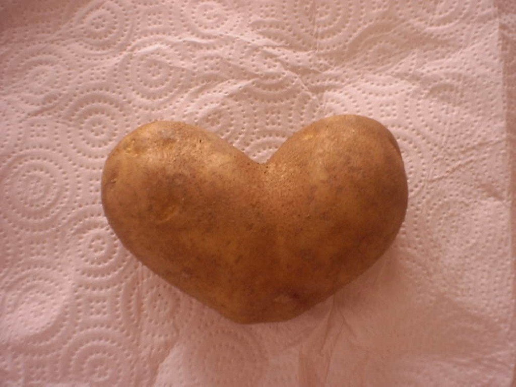 love-potato.jpg